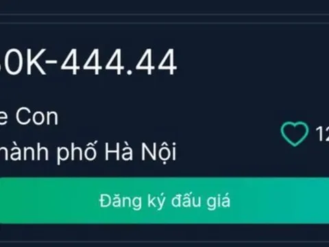 Có 120 người tham gia đấu giá biển số ô tô 30K- 444.44