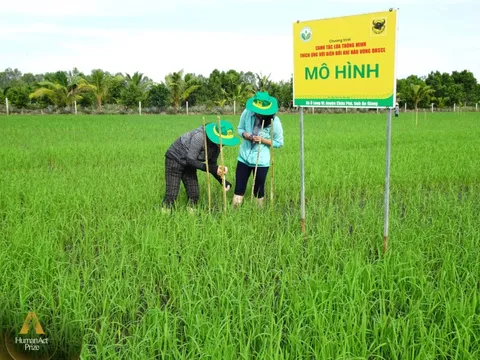 Doanh nghiệp phân bón khuyến cáo nông dân bón ít hơn và câu chuyện phát triển nông nghiệp bền vững vùng Đồng bằng Sông Cửu Long