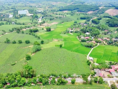 Chính phủ quyết định giảm 30% tiền thuê đất năm 2023