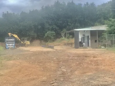 Kon Tum: Bát nháo trạm thu mua nông sản trái phép