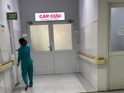 TP Hồ Chí Minh: Tập trung nguồn lực điều trị cho bệnh nhân ngộ độc thực phẩm tại chung cư Palm Heights