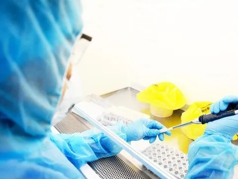 Ca bệnh đậu mùa khỉ mang kiểu gen mới