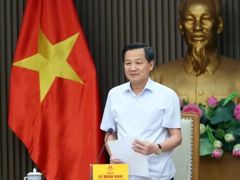 Xem xét, thống nhất giải pháp xử lý dứt điểm Dự án Bột giấy Phương Nam