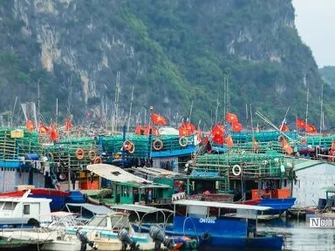 Quyết tâm gỡ "thẻ vàng" IUU tại đợt thanh tra lần thứ 4 của EC