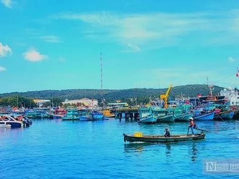 Kiên Giang: Tình hình kinh tế - xã hội chuyển biến tích cực