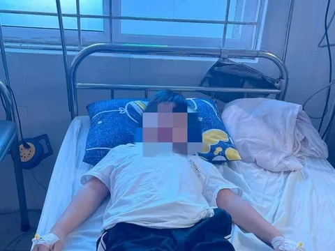 Bé trai sốc phản vệ sau khi ăn trứng cá lá tre