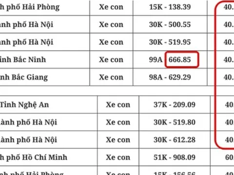 Phiên đấu giá biển số xe ô tô có đến 21/32 biển 'đồng giá' 40 triệu gồm cả biển tam hoa, tứ quý