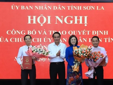 Tiếp nhận, điều động, bổ nhiệm nhân sự 11 tỉnh