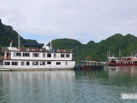 Hải Phòng: Du khách sẽ phải móc hầu bao nhiều hơn khi du lịch Cát Bà