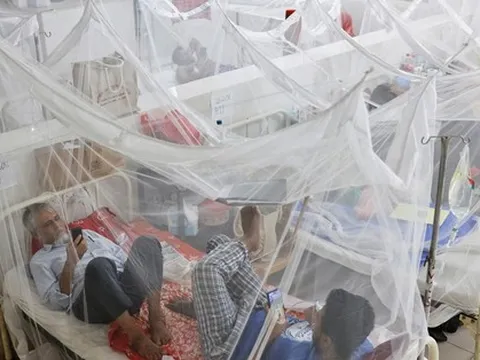 Hiểm họa sốt xuất huyết đang lan rộng trên thế giới