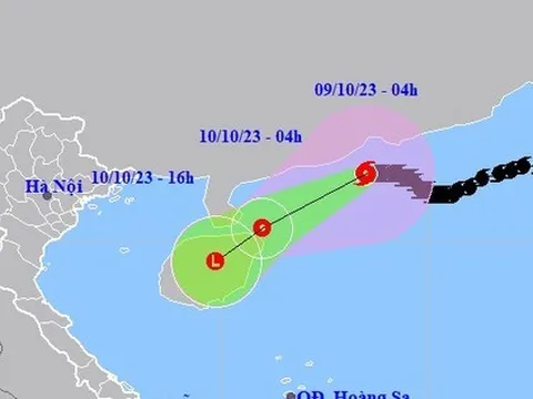 Nhận định mới về bão số 4