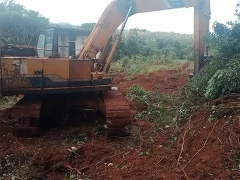 Đắk Nông: Bắt quả tang một đối tượng dùng máy múc để phá rừng
