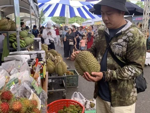 Hỗ trợ các hoạt động thu hút đầu tư vùng đồng bào dân tộc thiểu số và miền núi