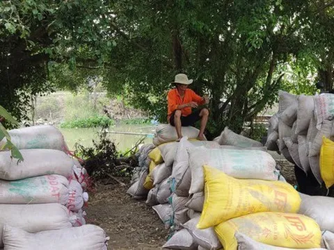 Một thị trường lớn của Việt Nam vừa chào mua thêm 500.000 tấn gạo