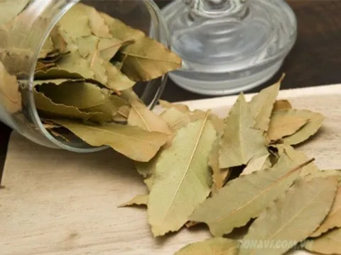 Một loại lá chuyên dùng để nấu phở của Việt Nam bỗng được săn lùng ở nước ngoài: Xuất khẩu tăng đột biến 2.000%, thu về hơn 20 tỷ đồng