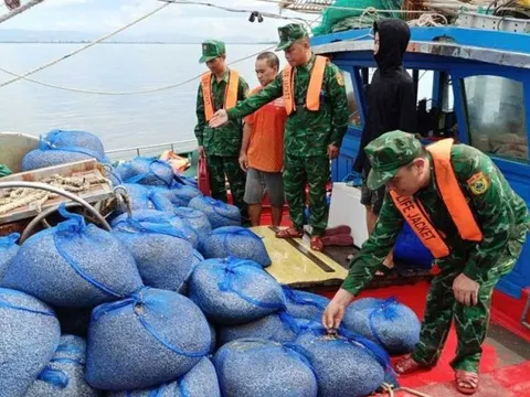 Quảng Ninh: Bắt giữ 7 tàu cá dùng ngư cụ cấm khai thác thủy sản