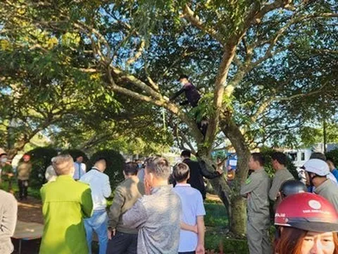 Lâm Đồng: Phát hiện tài xế taxi tử vong trong tư thế treo cổ