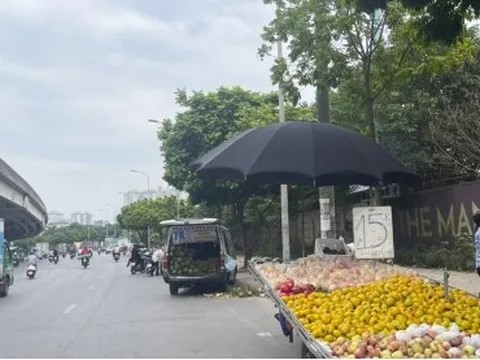 Xe tải bán hoa quả nghênh ngang trên đường phố Hà Nội, sao không ai dẹp?