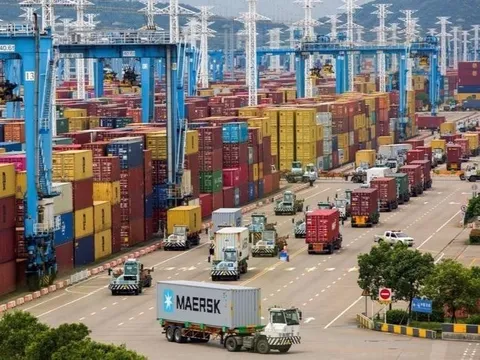 Bất ngờ về 4/5 container nông sản xuất khẩu tưởng đã mất trắng ở Dubai
