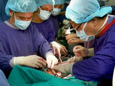 Kiểm tra, giám sát hoạt động hiến, lấy, ghép mô, bộ phận cơ thể người