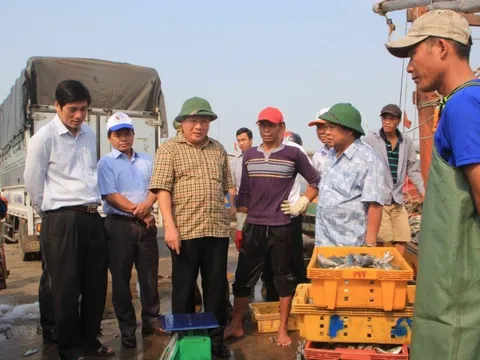 Quảng Trị nỗ lực chống khai thác IUU