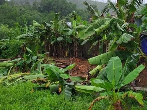 Tp.Đà Nẵng: Những thiệt hại ban đầu do mưa lớn gây ra