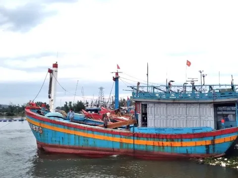 Đà Nẵng xử lý nghiêm các cá nhân, tổ chức vi phạm IUU