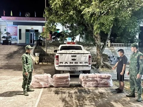 Quảng Ninh: Bắt giữ gần nửa tấn nầm lợn không rõ nguồn gốc