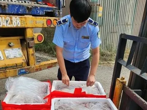 Phát hiện trên 4,5 tấn cá khoai dương tính với chất Formol
