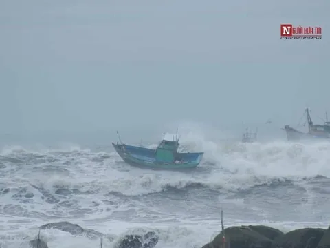 Bình Thuận hỗ trợ tìm kiếm ngư dân mất tích trên tàu cá của tỉnh Quảng Nam