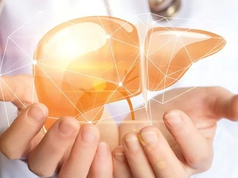7 đặc điểm của người có lá gan khỏe: Nếu bạn có đủ thì xin chúc mừng!