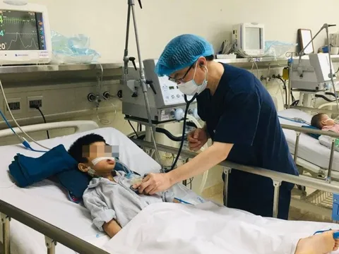 Hà Nội ghi nhận hai ca mắc viêm não Nhật Bản