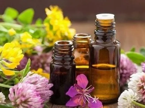 Bộ Y tế thu hồi toàn quốc lô tinh dầu hoa bưởi  