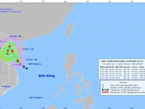 Áp thấp nhiệt đới mạnh lên thành bão số 5