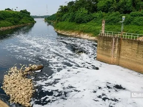 Nước sông Nhuệ ô nhiễm trầm trọng, chảy ngược ra sông Hồng
