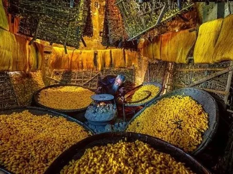 Xuất khẩu một mặt hàng sang châu Phi bất ngờ tăng nóng hơn 5.000%: Mỹ, Nhật Bản cũng chi hàng tỷ USD “chốt đơn”, Việt Nam đứng thứ 3 thế giới