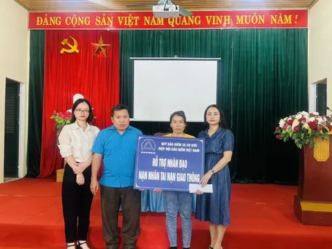 Quỹ Bảo hiểm xe cơ giới hỗ trợ nhân đạo tại Tuyên Quang