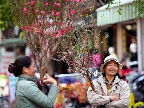 Nghỉ Tết 2024: Phương án sẽ tối ưu nhất, đảm bảo hài hòa lợi ích