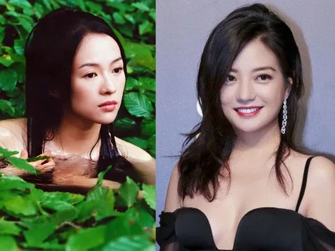 Chương Tử Di ly hôn, Triệu Vy cũng vậy?