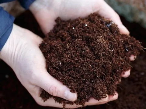 Nga tăng cường xuất khẩu một mặt hàng sang Việt Nam với giá rẻ chưa từng có, là "báu vật" giúp Nga thu 20 tỷ USD chỉ trong 1 năm