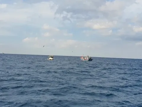 Một ngư dân ở Bình Định tử vong do bị nhiễm trùng huyết