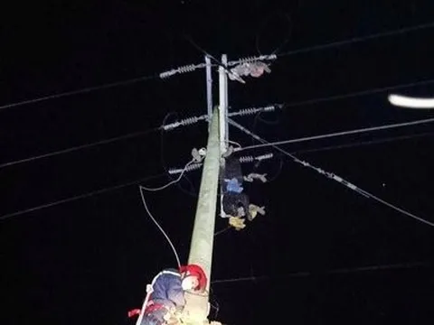 Bình Thuận: Điều tra nguyên nhân người đàn ông tử vong trên trụ điện