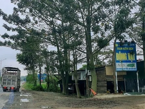 Bắt hai nhân viên trạm kiểm dịch vòi tiền chủ xe tải chở lợn