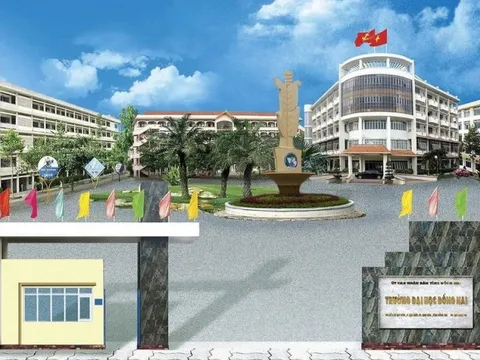 Đồng Nai: Bắt 3 cán bộ, giảng viên Trường đại học Đồng Nai