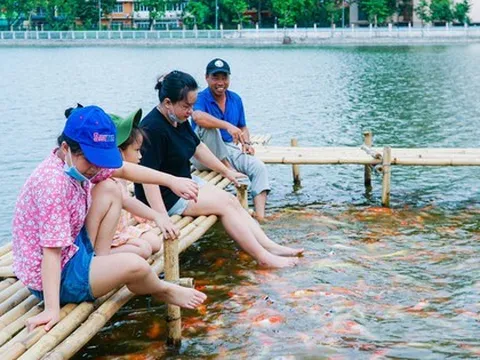 Dừng nuôi 8 tấn cá koi ở Hồ Tây