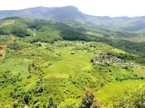 Cuộc sống khởi sắc của người dân nơi “thánh địa” sâm Ngọc Linh