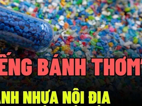 Vì sao doanh nghiệp nhựa luôn nằm trong tầm ngắm thâu tóm của đại gia Thái Lan?