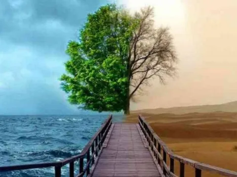 Tăng cường năng lực phòng ngừa, ứng phó sự cố môi trường cấp quốc gia