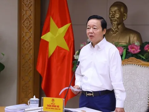 Không để Quy hoạch điện VIII phải chờ cơ chế, chính sách