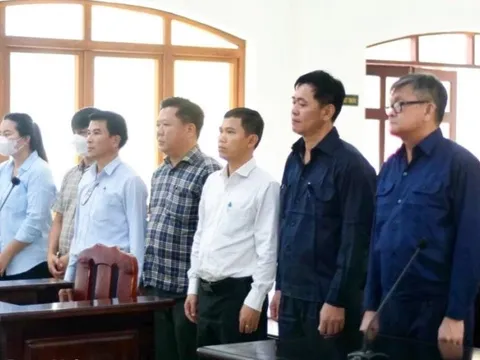 Đồng Nai: Hoãn phiên tòa xét xử vụ sai phạm đất đai ở xã Bình Sơn